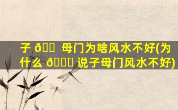 子 🐠 母门为啥风水不好(为什么 🕊 说子母门风水不好)
